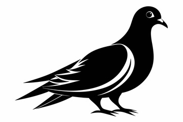 mourning dove line art silhouette vector illustration