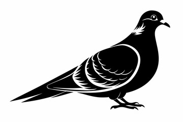 mourning dove line art silhouette vector illustration