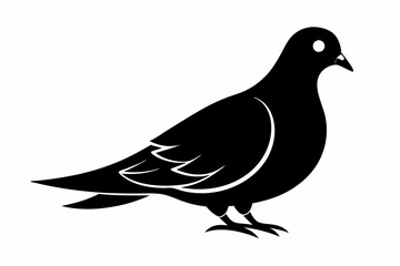 mourning dove line art silhouette vector illustration