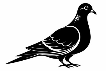 mourning dove line art silhouette vector illustration