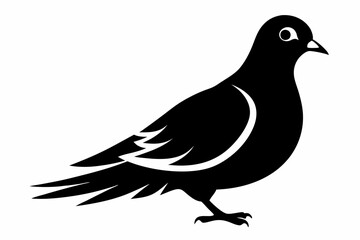 mourning dove line art silhouette vector illustration