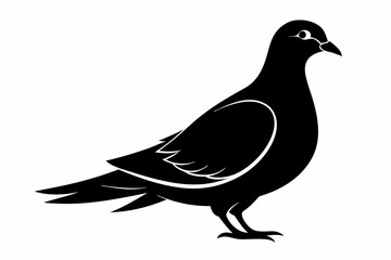 mourning dove line art silhouette vector illustration