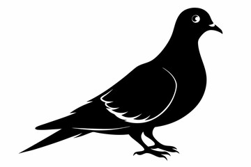 mourning dove line art silhouette vector illustration