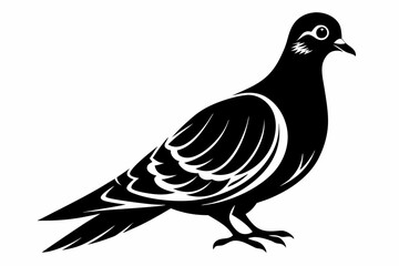 mourning dove line art silhouette vector illustration