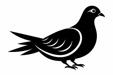 mourning dove line art silhouette vector illustration