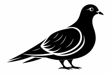 mourning dove line art silhouette vector illustration