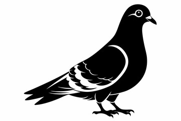 rock pigeon line art silhouette vector illustration