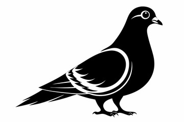 rock pigeon line art silhouette vector illustration