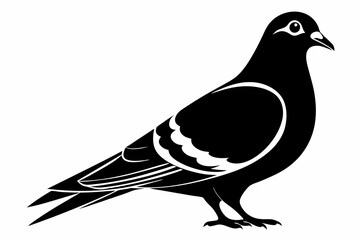 rock pigeon line art silhouette vector illustration