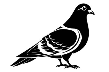 rock pigeon line art silhouette vector illustration