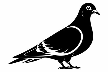 rock pigeon line art silhouette vector illustration