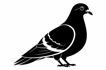 rock pigeon line art silhouette vector illustration