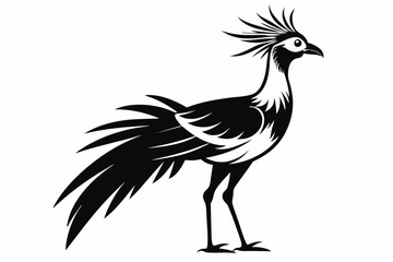 secretary bird line art silhouette vector illustration