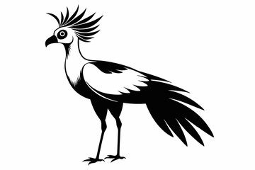 secretary bird line art silhouette vector illustration