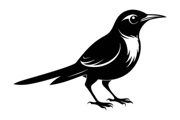 sunbird line art silhouette vector illustration