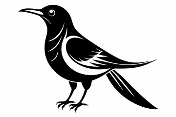 Fototapeta premium sunbird line art silhouette vector illustration