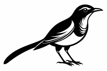 sunbird line art silhouette vector illustration