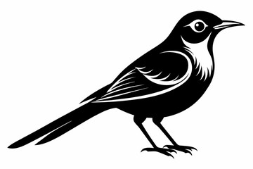 sunbird line art silhouette vector illustration