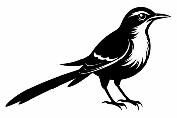 sunbird line art silhouette vector illustration