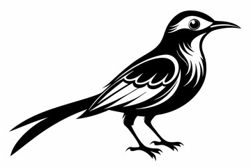 sunbird line art silhouette vector illustration