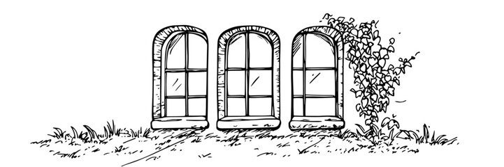 arched windows with ivy doodle black vector ink sketch