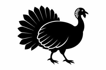 Obraz premium turkey line art silhouette vector illustration
