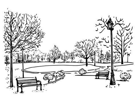 park landscape with benches and trees doodle black vector ink sketch