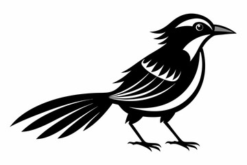 Obraz premium weaverbird line art silhouette vector illustration