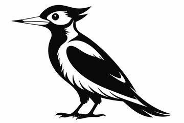 woodpecker line art silhouette vector illustration
