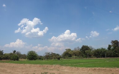 Naklejka premium Rural rice fields in Thailand