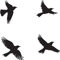 Fototapeta premium This artwork is digitally enhanced using AI and manually edited for quality. Flying Bird Silhouettes - Set of Four Black Bird Illustrations in Flight.