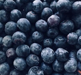 blueberries in a bowl