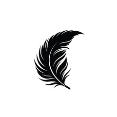 Obraz premium feather vector illustration