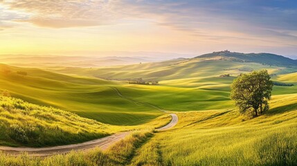 Obraz premium Serene Rolling Hills Under Golden Sunset Sky in Picturesque Landscape