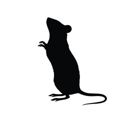 silhouette of a cat