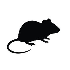 vector illustration of a mouse