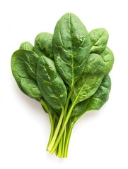 Fresh spinach leaves resting on a white background
