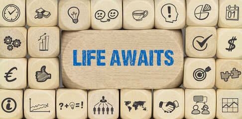 Life Awaits	
