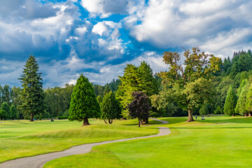 Public park. Nature of forest. Green forest wood landscape in summer. Path way. Nature of forest. Landscape of meadow at park. Summer park zone nature. Scenic landscape of woodland. Walking path