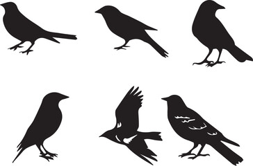 Bird vector, bird, animal, sparrow, feather, flying, animals, wildlife, wild, wing, duck vector set