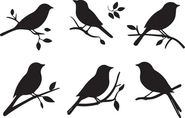 Bird vector, bird, animal, sparrow, feather, flying, animals, wildlife, wild, wing, duck vector set