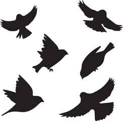 Bird vector, bird, animal, sparrow, feather, flying, animals, wildlife, wild, wing, duck vector set