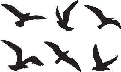 Bird vector, bird, animal, sparrow, feather, flying, animals, wildlife, wild, wing, duck vector set