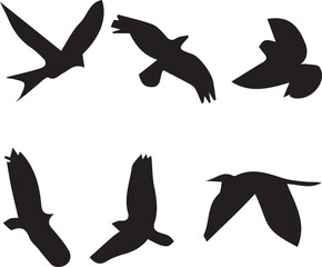 Bird vector, bird, animal, sparrow, feather, flying, animals, wildlife, wild, wing, duck vector set