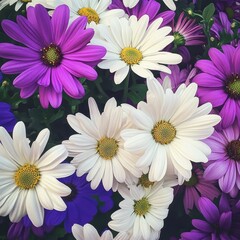 Fototapeta premium Vibrant Arrangement of Purple and White Daisies in a Lush Garden Setting Capturing the Essence of Spring Flora and Nature's Beauty