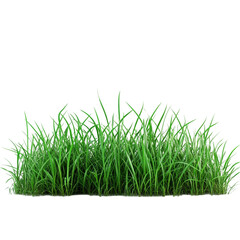 Fototapeta premium Lush Green Grass Vibrant Nature Tranquil Scene