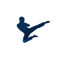 Martial artist executing a powerful kick, dynamic action and strength