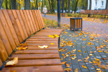 Bench close-up in the park with beautiful autumn leaves.