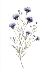 Naklejka premium Delicate Purple Floral Arrangement