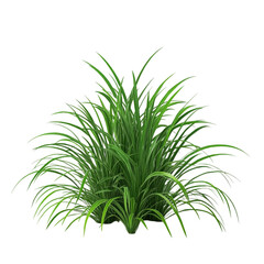 Fototapeta premium Lush Green Grass Vibrant Nature Scene Abstract Art